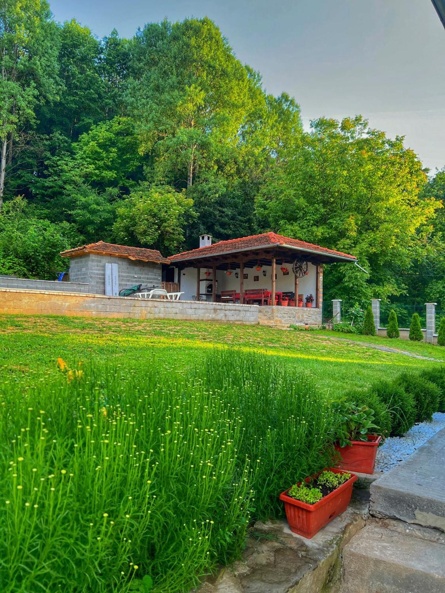 Villa Старият Дюкянь Elena Exterior foto